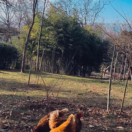 Σπίτι διακοπών Kefiko, L'alloggio